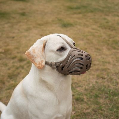 Diketone Silicone Dog Muzzle for Small, Medium, and Large Dogs, Prevents Biting, Chewing, and Barking, Coffee, XXL