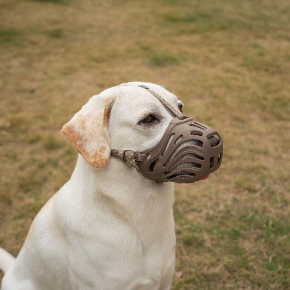 Diketone Silicone Dog Muzzle for Small, Medium, and Large Dogs, Prevents Biting, Chewing, and Barking, Coffee, XXL