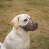 Diketone Silicone Dog Muzzle for Small, Medium, and Large Dogs, Prevents Biting, Chewing, and Barking, Coffee, XXL view 1