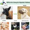 Diketone Silicone Dog Muzzle for Small, Medium, and Large Dogs, Prevents Biting, Chewing, and Barking, Coffee, XXL view 3