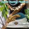 Apatal Plastic Frog Habitat Platforms with Suction Cups, 6-Piece Set view 3