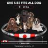 Rechargeable LED Dog Collar, Waterproof with 3 Light Modes view 3
