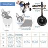 Adjustable Dog Wheelchair for Rear-Leg Support view 2