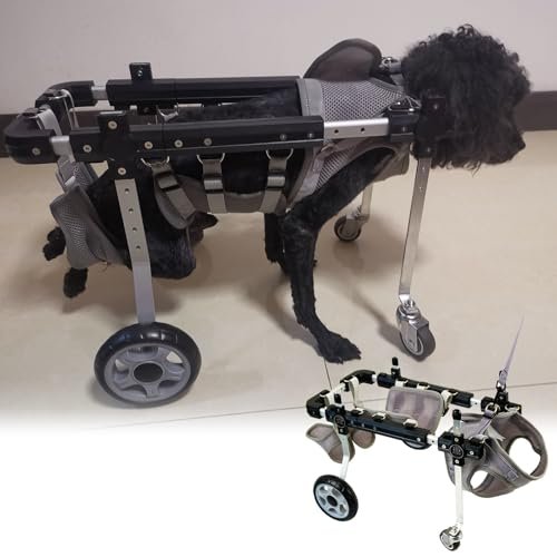 4-Wheel Dog Wheelchair, Adjustable Lightweight Rear-Leg Mobility Aid, Medium