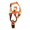 Breathable Dog Muzzle, Adjustable Halter Muzzle, Size 5–6 Months view 2