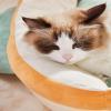 Special Washable Cat Bed with Non-Slip Bottom view 2
