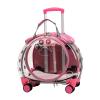ZHOUBA Clear-Window Pet Trolley Case with Ventilation Holes for Cats, Small Dogs, and Other Small Pets, Black view 1