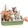 Yardwe Metal Cat Litter Scoop with Sieve view 4