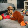 Anti-Stress Duck Dog Toy, 2-Pack, Squeaky Interactive Plush Toy, Sizes S–L view 4