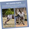 DECOMELODY Cute Cotton Dog Diaper for Female Dogs view 3