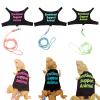 PTILSERY Adjustable Multi-Color Harness for Bearded Dragons view 2