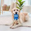 Gitekain Dog Chew Toy view 3
