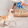 Gitekain Dog Chew Toy view 4