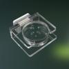 Jumping Spider Feeding Bowl view 2