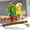 Parrot Bird Perch Stand view 2