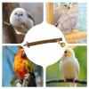 Parrot Bird Perch Stand view 4