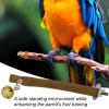 Parrot Perches and Stands view 2