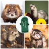 Ferret Hoodie Sweatshirt for Small Pets view 4