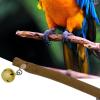 Goowafur Bird Perches for Parrots view 3