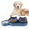 15° Inclined Pet Double Bowl with Automatic Water Dispenser view 1