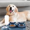 15° Inclined Pet Double Bowl with Automatic Water Dispenser view 2