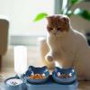 15° Inclined Pet Double Bowl with Automatic Water Dispenser view 3