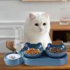 15° Inclined Pet Double Bowl with Automatic Water Dispenser view 4