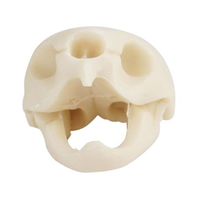 Happyyami Simulation Tortoise Skull Aquarium Ornament