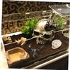 Happyyami Simulation Tortoise Skull Aquarium Ornament view 2