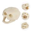 Happyyami Simulation Tortoise Skull Aquarium Ornament view 4