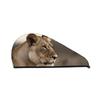 SDTYKHJ Women's Ultra-Absorbent Coral Velvet Hair Towel view 1