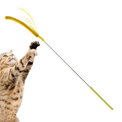 Cat Toy with Feather and Flexible Wire