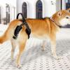 zuousxbs Adjustable Pet Rehabilitation Harness for Dogs and Cats with Limited Mobility view 3