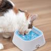 Spill-Proof Large-Capacity Anti-Slip Dog Water Bowl view 4