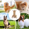 Indestructible Dog Toy - Plush Squeaky Toy view 4