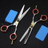 Professional 6-Inch Japanese 440C Steel Hair Cutting and Thinning Scissors Set view 1