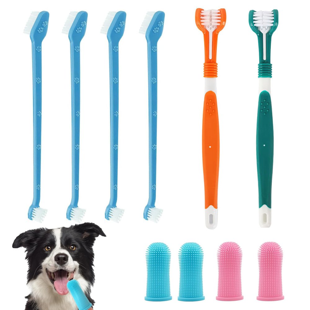 Pet Dental Care Set