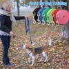 Mangroo Nylon Dog Leash view 2