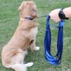 Mangroo Nylon Dog Leash view 3
