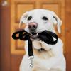 Mangroo Nylon Dog Leash view 4