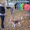 Mangroo Nylon Dog Leash view 2