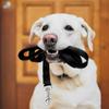Mangroo Nylon Dog Leash view 4
