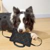 Padded Dog Tug-of-War Bite Pillow view 3