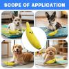Banana Dog Toy Squeaker view 4