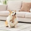 Indestructible Dog Bear Squeaky Toy view 3