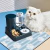 Automatic Food and Water Dispenser for Cats view 2