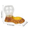 Automatic Water Dispenser for Lizards and Bearded Dragons view 4