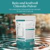 Aligma Organic Chlorella Powder, 250 g – Vegan Protein Algae Greens view 2