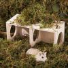 Hamster 2-Chamber Tunnel House Maze view 3