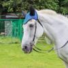 BEALIFE Breathable Polyester Mesh Horse Ear Covers, Lightweight and Durable, Sky Blue view 4